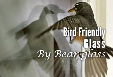 Bird Friendly Glass